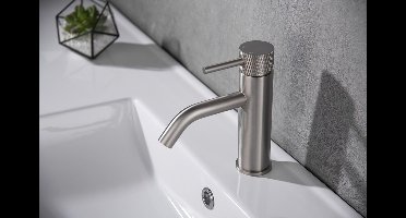 Wastafelkraan Wiesbaden Ribbd Opbouw Mengkraan RVS