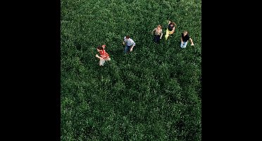 Parcels - Loved (LP)