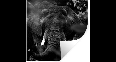 Muurstickers - Sticker Folie - Dieren - Olifant - Vlinders - Zwart - Wit - 30x30 cm - Plakfolie - Muurstickers Kinderkamer - Zelfklevend Behang - Zelfklevend behangpapier - Stickerfolie
