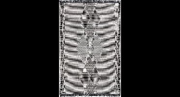 Pergamon Vloerkleed Dubbelzijdig Ethno Kelim Trend