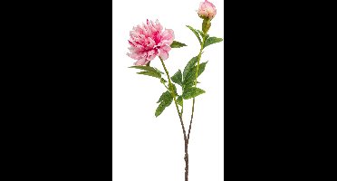 Emerald - Kunstbloem Pioenroos Sarah 73cm roze - Kunstplant voor binnen