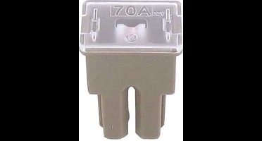 FLF-S pal zekering 70 amp 1 stuk