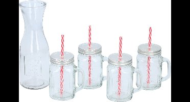 Alpina Drinkset - Karaf, 4 Glazen met Deksel en Rietje