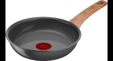 Tefal Renew Braadpan 20cm - Grijs - Aluminium - Ø20 cm