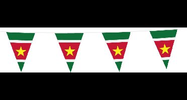 PE vlaggenlijn slinger Suriname, lengte 10 meter