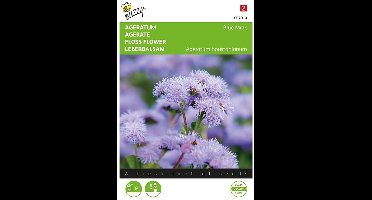 Buzzy Ageratum Houstonianum Mexicanum Blue Mink