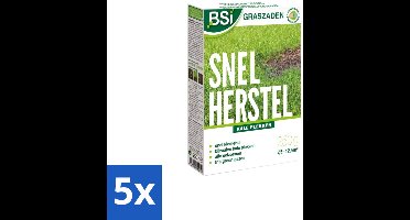 BSI – Graszaad – Snel Herstel – Dicht & Sterk Gazon – 250 g - Bulkverpakking - 5 stuks