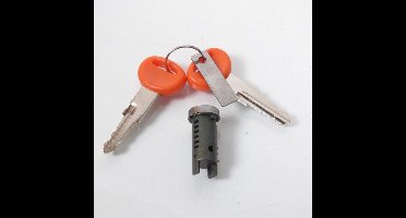 neiman vicma sleutelschakelaar voor scooter piaggio 50 vespa fl2 1991 tot 1997 6602 nieuw
