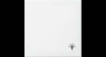 1731-0-2010 - White - Busch-Jaeger - Busch-balance SI - 1 pc(s)