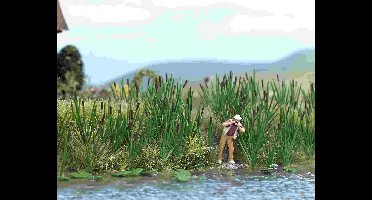 Busch - Gräser/rohrkolben H0 (Bu1256) - modelbouwsets, hobbybouwspeelgoed voor kinderen, modelverf en accessoires