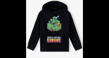 Minecraft kids trui 10 jaar