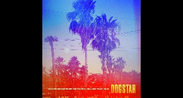 Somewhere Between the Power Lines and Palm Trees