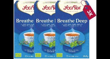 Yogi Tea Breathe Deep Bio - 3 pakjes