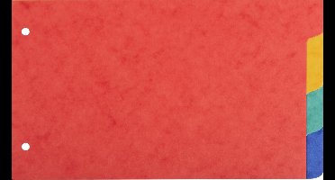 Exacompta 10x Tabbladen in gerecycleerd karton 225g - 4 tabs - 125x200mm - Geassorteerd - 704E