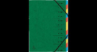 Exacompta 8x Sorteermap met vaste rug en elastosluiting - 12 indelingen - Groen - 54123E