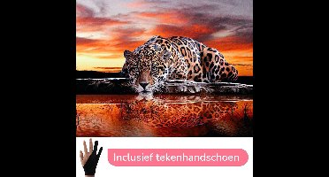 HobbyMania Schilderen Op Nummer Volwassenen Tijger Aan Het Water Luipaard Panter Dieren - Zonsondergang – 50x40 cm - Inclusief Tekenhandschoen - Paint By Number Volwassenen