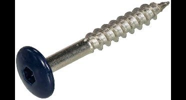 Schroeven voor montage Trespa platen - Torx 20 - 4,8x38mm - RVS - Deeldraad - Staalblauw RAL 5011 (100 stuks)