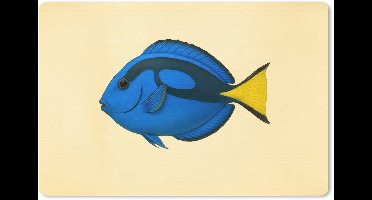 Muismat XXL 120x80 cm - Bureau onderlegger - Bureau mat Blauw - Dory - Vis - Staartvin - Bureaumat - Gaming mousepad xl - Bureaulegger groot - Computer deskmat