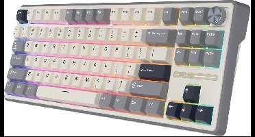 Royal Kludge RKR87 Pro - Gaming Toetsenbord - Mechanisch - Keyboard - Gaming - RGB