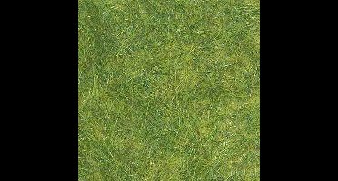 Busch - Wildgras Maigrün (Bu7371)