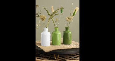 Glazen Fles Ø7 h: 12 cm Assorti Groen (12 stuks)