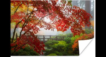 Poster Japanse esdoorn - Bomen - Brug - Natuur - Japans - 30x20 cm