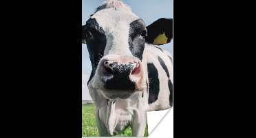 Poster Koe - Weiland - Natuur - Dieren - Gras - 20x30 cm