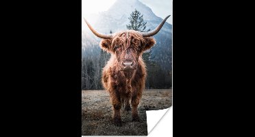 Poster Schotse hooglander - Natuur - Bergen - 20x30 cm