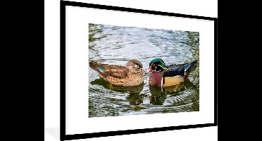 PosterMonkey - Poster - Fotolijst - Eend - Vogels - Water - Veren - 120x80 cm - Poster vogels - Poster eend - Frame poster - Poster lijst - Kader