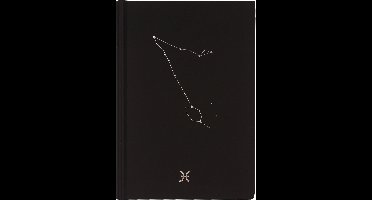 D6053-12 Dreamnotes notitieboek sterrenbeeld: vissen 19 x 13,5 cm