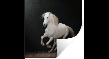 Muurstickers - Sticker Folie - Paarden - Zwart - Portret - 30x30 cm - Plakfolie - Muurstickers Kinderkamer - Zelfklevend Behang - Zelfklevend behangpapier - Stickerfolie