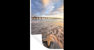 Muurstickers - Sticker Folie - Zee - Zeester - Amerika - 20x30 cm - Plakfolie - Muurstickers Kinderkamer - Zelfklevend Behang - Zelfklevend behangpapier - Stickerfolie