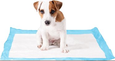 Duvoplus - Dierentoilet - Hond - P-pad X-large Xl - 50st - 60x60cm - 50st