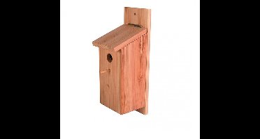Duvo+ Vogelhuisje bouwpakket - Bruin - 12,5 x 14,5 x 36cm
