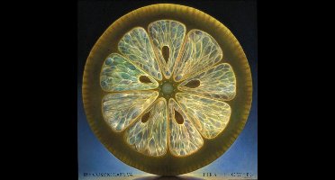 Cosmic Carnival - First Flowers (CD)