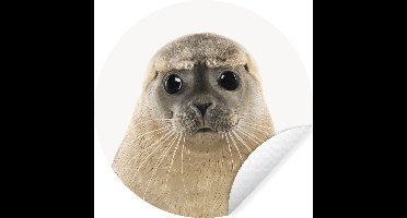 WallCircle - Muurstickers - Behangcirkel - Zeehond - Beige - Dieren - ⌀ 30 cm - Muurcirkel - Zelfklevend - Ronde Behangsticker