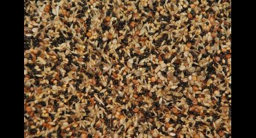 Wielink Wildzangzaad 20 kg