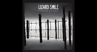 Lizard Smile - Wandering In Mirrors (CD)