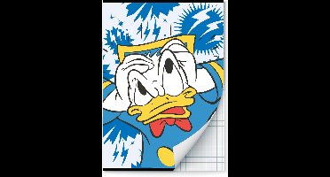 Donald Duck schriften Ruit 10 mm A4 - 2 stuks