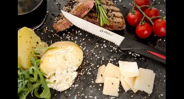 Alpina steakmessen - 22.8 cm - 6 stuks