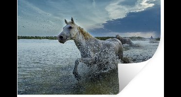 Muurstickers - Sticker Folie - Paard - Wit - Water - 30x20 cm - Plakfolie - Muurstickers Kinderkamer - Zelfklevend Behang - Zelfklevend behangpapier - Stickerfolie