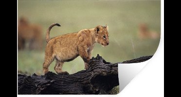Muurstickers - Sticker Folie - Leeuw - Boomstam - Welp - 30x20 cm - Plakfolie - Muurstickers Kinderkamer - Zelfklevend Behang - Zelfklevend behangpapier - Stickerfolie