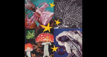 Various Artists - All Things Considered Vol.2 (LP)