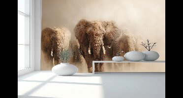 Peel & stick Fotobehang - Majestic Elephant Dust Parade - 250x50 centimeter