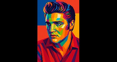 Elvis Presley Poster - Muziek Posters - Pop Art - Celeb - Muzieklegende - Wanddecoratie Woonkamer - 180 gram papier - L6709WV - Formaat 70 x 100cm
