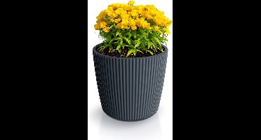 Prosperplast Plantenpot/bloempot Buckingham - buiten/binnen - design kunststof - antraciet - D29 x H26 cm