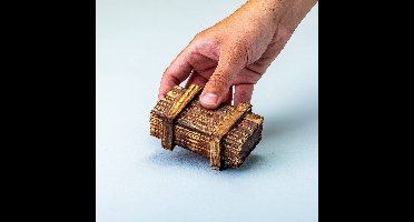 Ditverzinjeniet.nl Magische Iq-Box - Klein