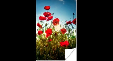 Poster Klaprozen - Toscane - Zon - Rood - Blauw - 20x30 cm