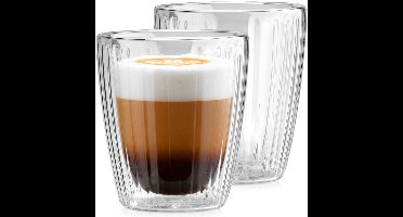 Thermische Glazen met Dubbele Wand voor Koffie en Thee 230 ml 2 stuks - Koffieglazen - Theeglazen - Glazen - Dubbelwandig