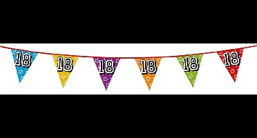 Boland Vlaggenlijn 18 jaar - multicolor - glitters - 8 meter - kunststof - vlaggetjes